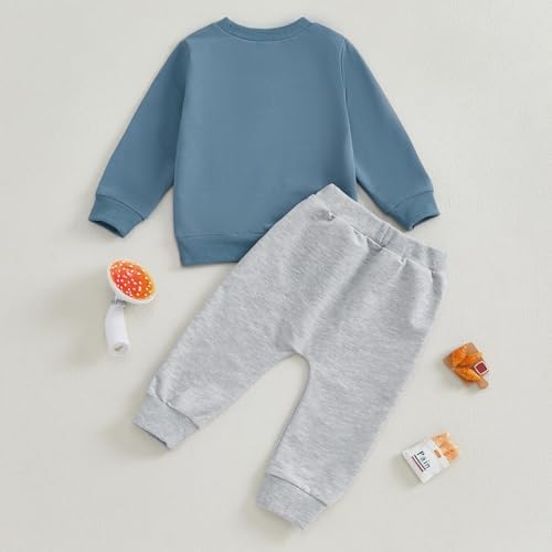 Sejardin toddler boy fall winter set premium comfortable