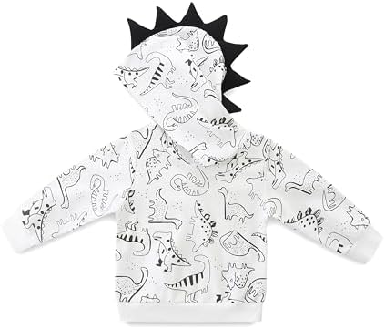 Hikido Dinosaur Toddler Outfit Set 2Pcs Cute Long Sleeve Hoodie Sweatsuit Clothes