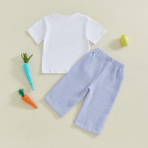 Easter Baby Boy Bunny Embroidery T-Shirt Plaid Pants Set