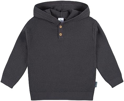 Gerber Baby Toddler Boys Hoodie Sweatshirt and Pant Set
