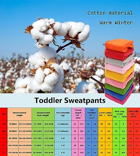 Snug Fit Winter Joggers for Toddler Essentials