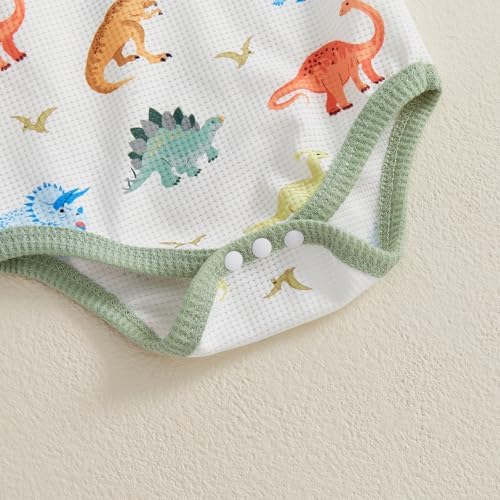 Newborn Boy Dinosaur Adorably Cozy Romper Set Overalls Hat