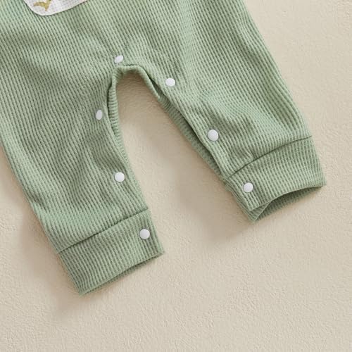 Newborn Boy Dinosaur Adorably Cozy Romper Set Overalls Hat