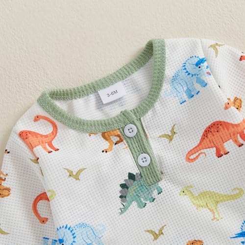 Newborn Boy Dinosaur Adorably Cozy Romper Set Overalls Hat
