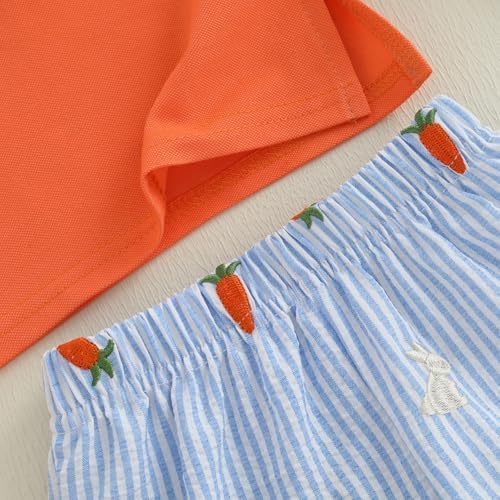 SAYOO Toddler Boy Easter Outfit