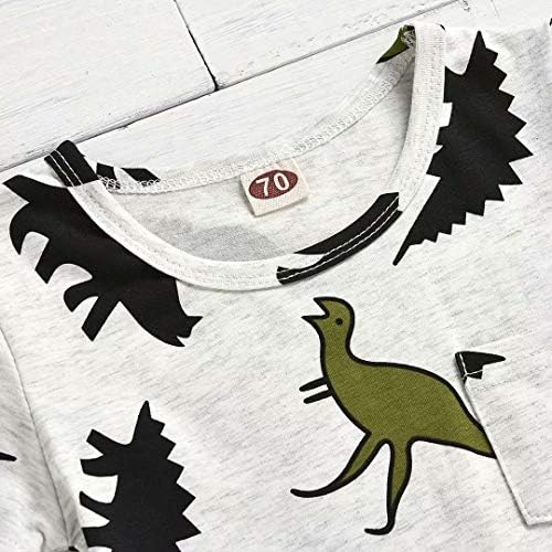 Tepuce Boys Dinosaur T-Shirt and Shorts Summer Outfit for Toddlers