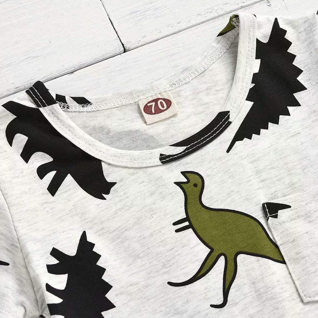 Tepuce Boys Dinosaur T-Shirt and Shorts Summer Outfit for Toddlers