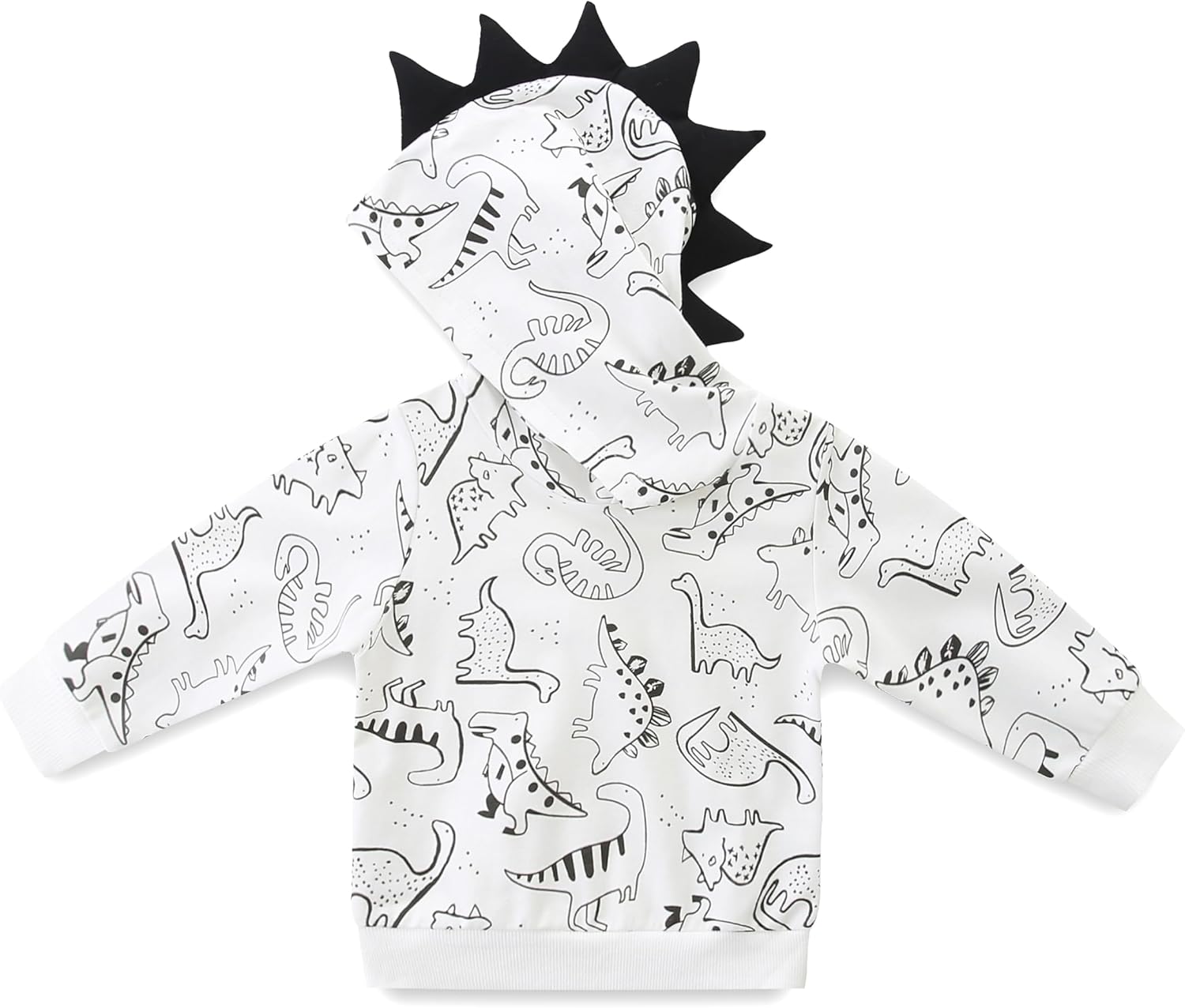 Hikido Dinosaur Toddler Outfit Set 2Pcs Cute Long Sleeve Hoodie Sweatsuit Clothes