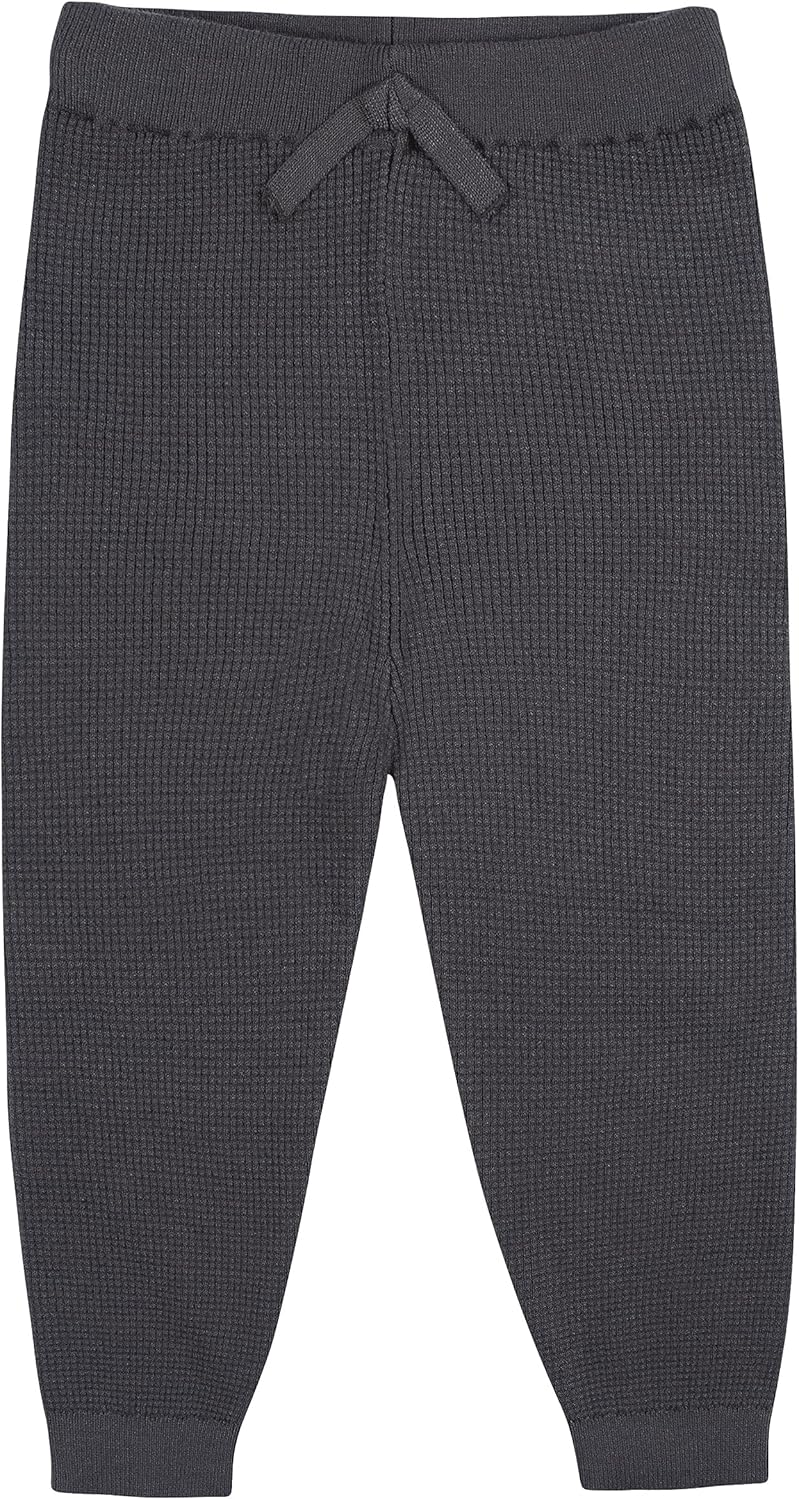 Gerber Baby Toddler Boys Hoodie Sweatshirt and Pant Set